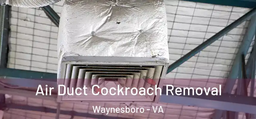  Air Duct Cockroach Removal Waynesboro - VA