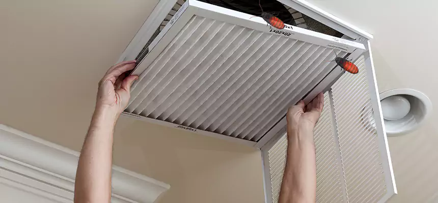 Preventive Cockroach-Proofing for Ducts in Waynesboro