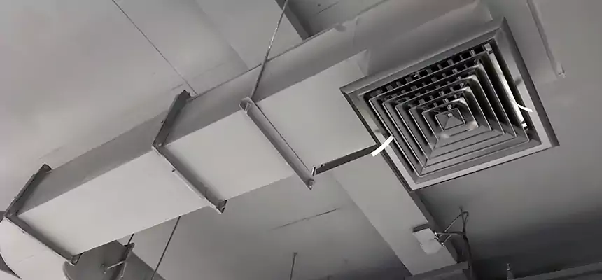 Restorative Allergy Relief Vent Cleaning – Coil, Blower & Housing Detail in Waynesboro