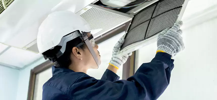 Our Mold & Mildew Removal from Air Ducts Services in Waynesboro, VA