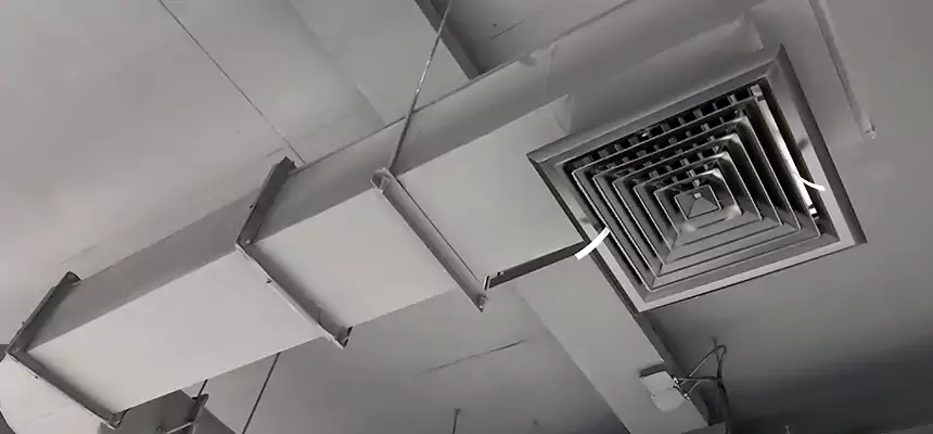 Our Pest Removal From Ducts Services in Waynesboro, VA