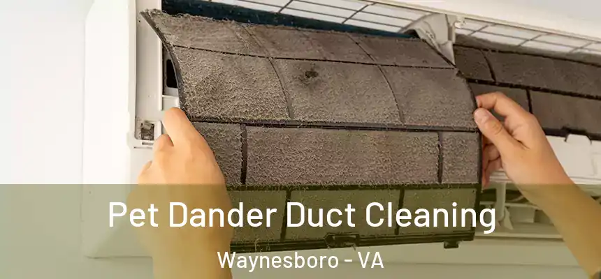  Pet Dander Duct Cleaning Waynesboro - VA