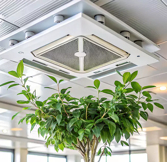 Why Homeowners & Businesses Trust Us in Waynesboro, VA